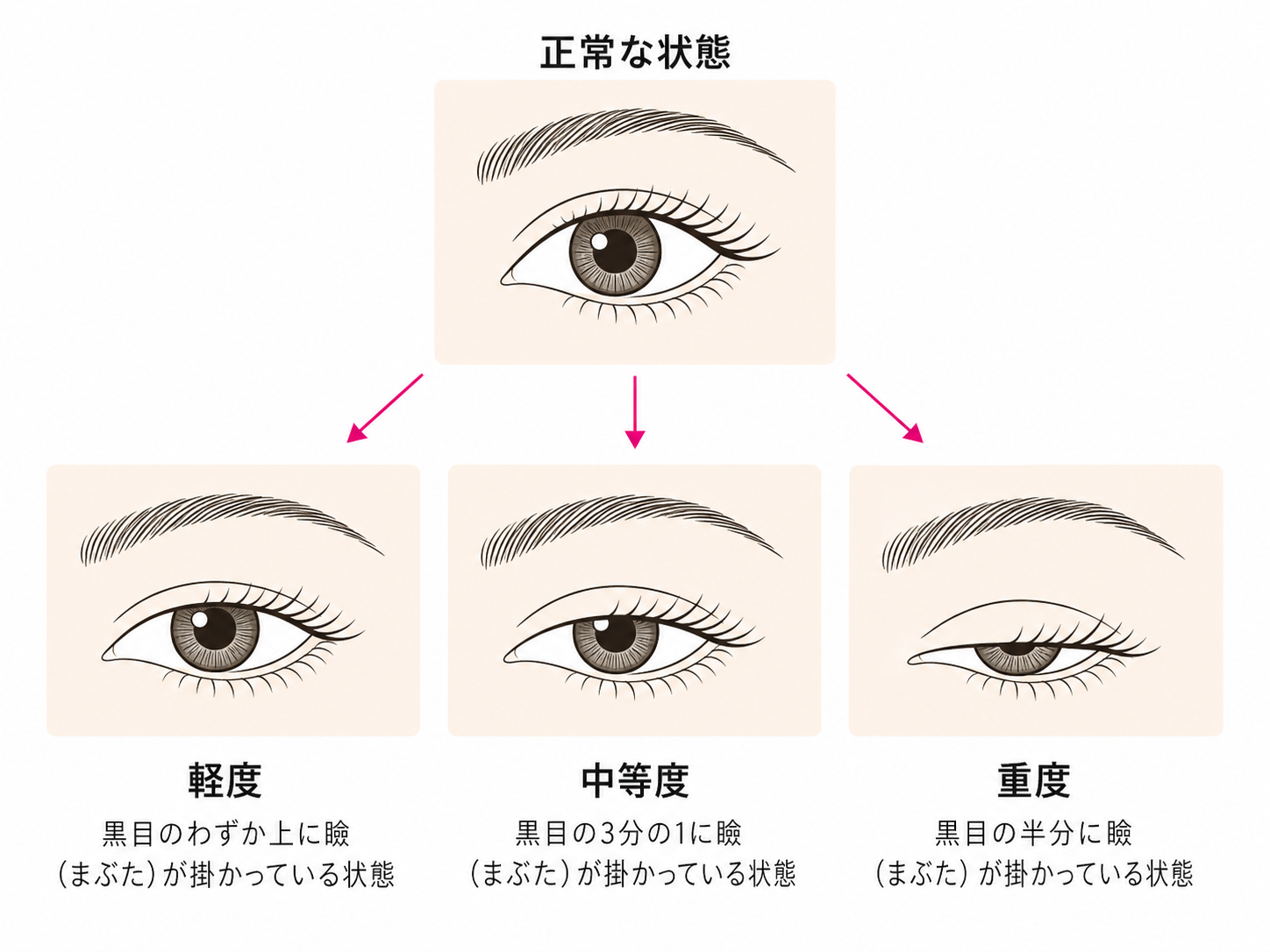 ChatGPT Image 2026年4月29日 09_54_56.png