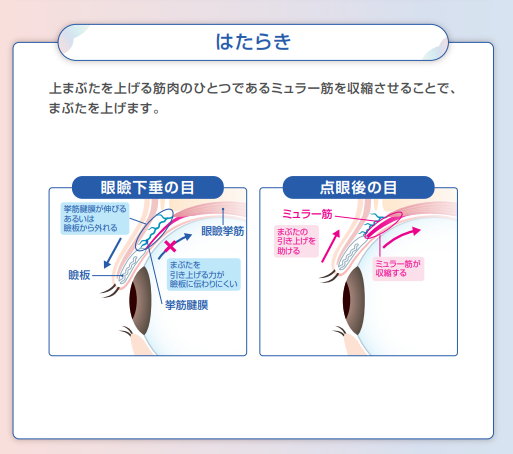 スクリーンショット 2026-04-29 095812.png